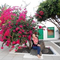 Lantos-Lili-del-rey-international-3